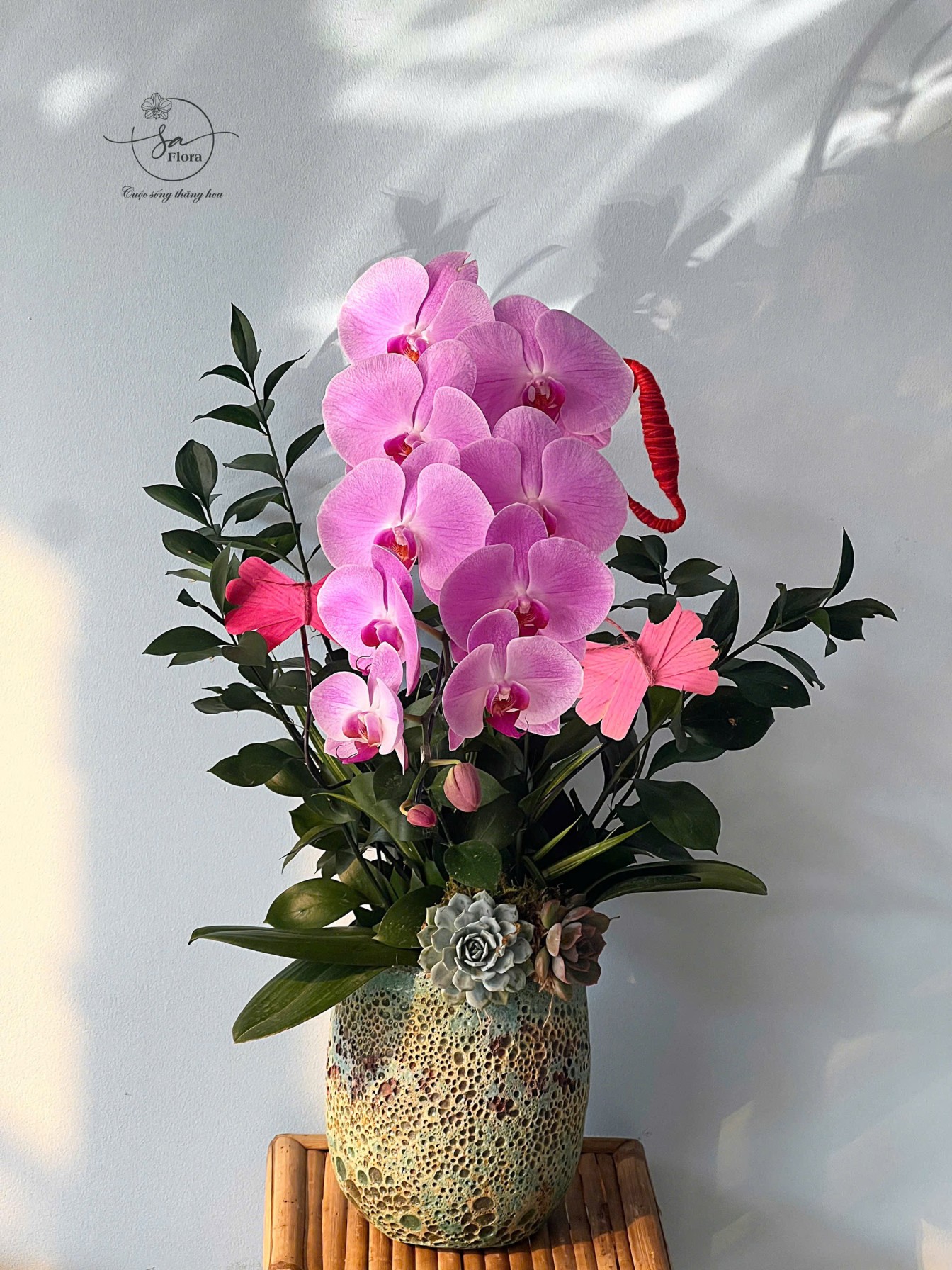 Hồng phấn dễ thương